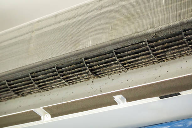 Air Duct Mold Removal in OH